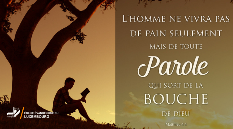 La Bible en image La Bible en image